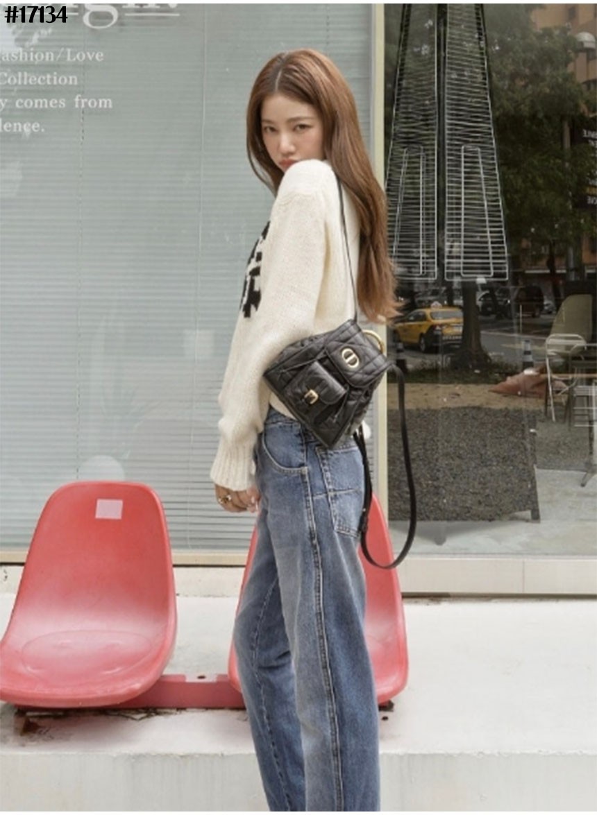 [DIOR] 크리스챤 디올 Caro 카로 스몰 백팩